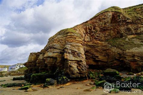 whitby fossil hunting videos.